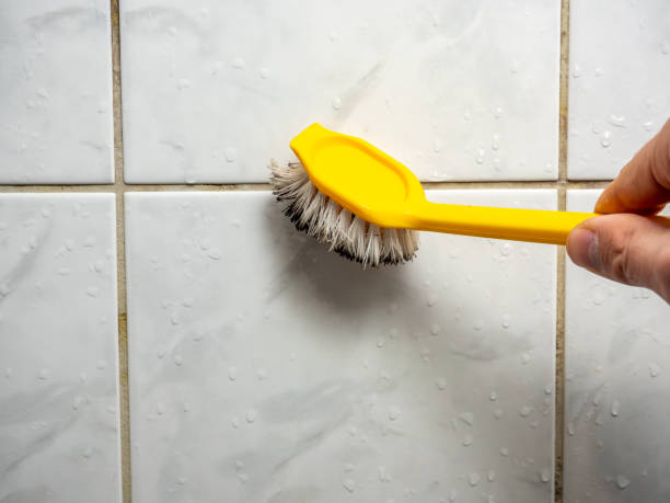 Best Kitchen Mold Remediation in Falls City, NE