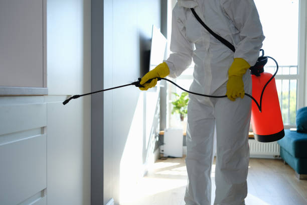 Best Basement Mold Remediation in Falls City, NE