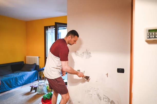 Best Insurance-Related Mold Remediation in Falls City, NE