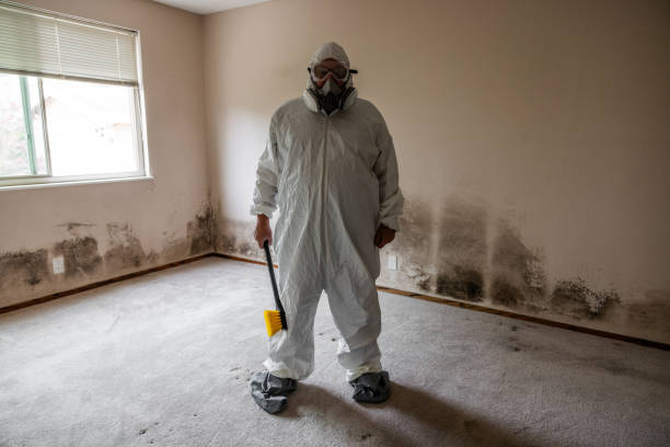 Best Localized Mold Remediation (e.g., coastal areas, humid climates) in Falls City, NE